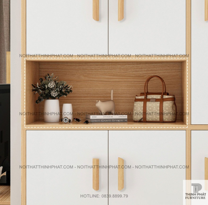 Tủ Giày Đứng Cao Cửa Mở Nhiều Tầng Có Kệ Trang Trí Phong Cách Hiện Đại TG48